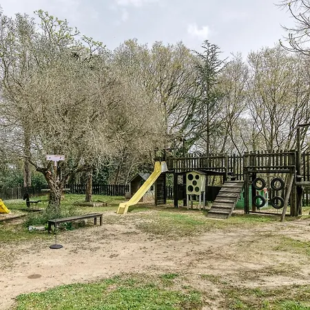 Guest house Habitacions Mas Fuselles