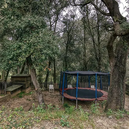 Гостьовий будинок Habitacions Mas Fuselles 3*